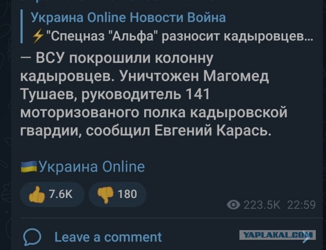 16494340.jpg