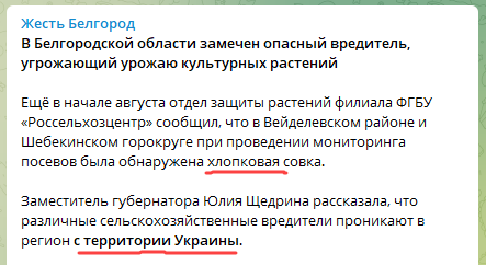 2022-08-29_23-56-26.png